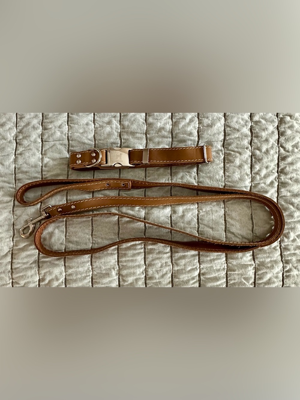 Leather Dog Leash and Collar Set - Large Dog